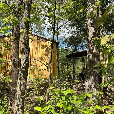 Bungalow Biberspur Zieko Exteriör bild