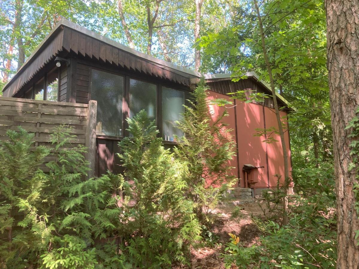Bungalow Biberspur Zieko Exteriör bild