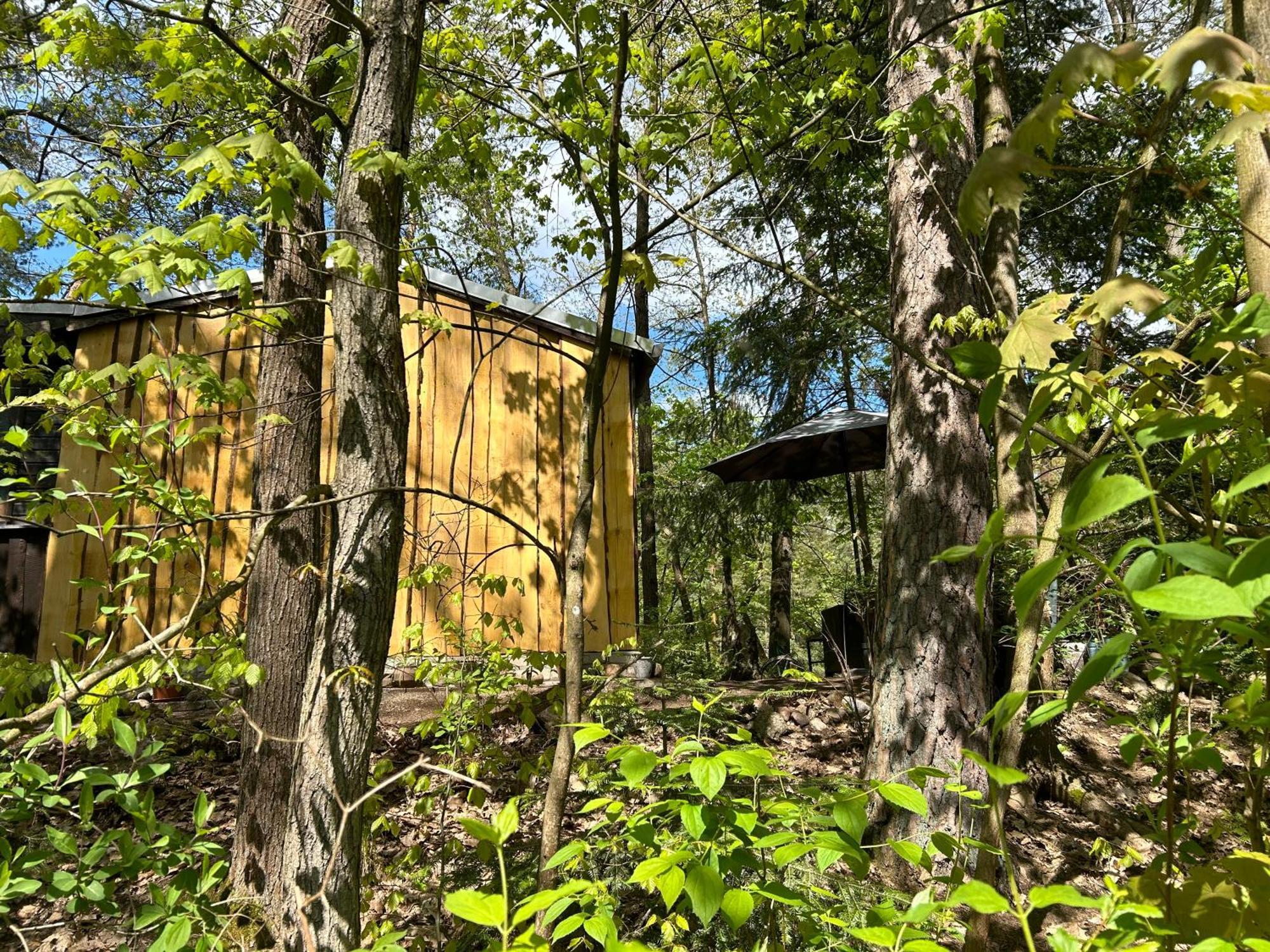 Bungalow Biberspur Zieko Exteriör bild